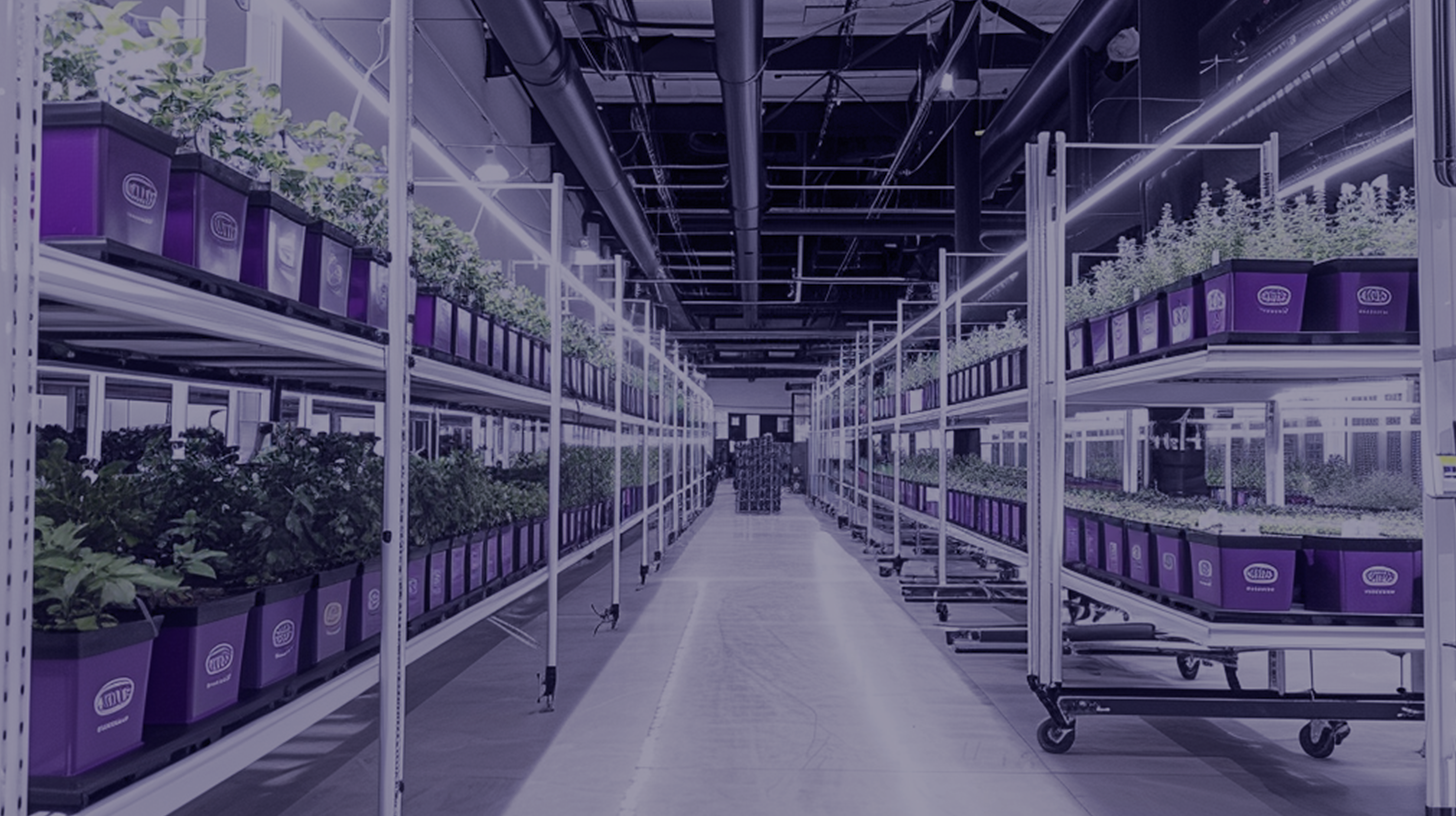 Una sala de cultivo especializada de gran tamaño