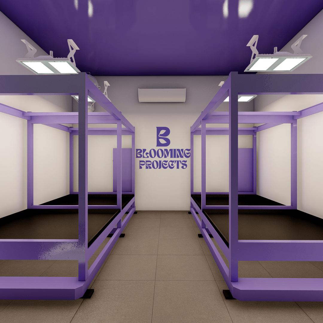 Sala de cultivo para vegetativo con racks violetas y un mural