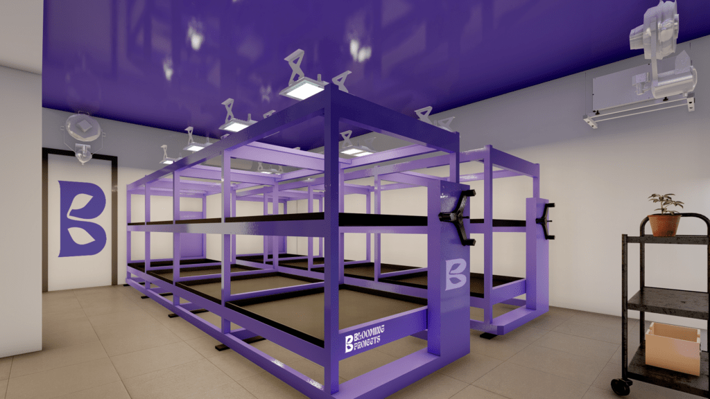 Sala de cultivo para etapa floración