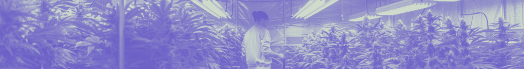Banner artístico de un cultivador entre plantas
