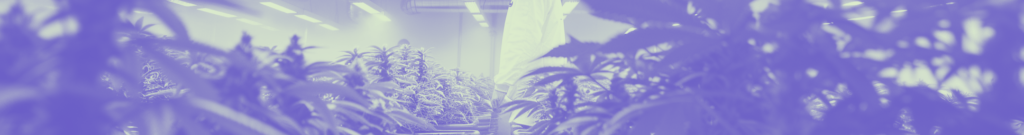 Banner artístico de un cultivador entre plantas