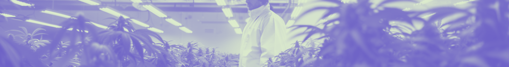 Banner artístico de un cultivador entre plantas